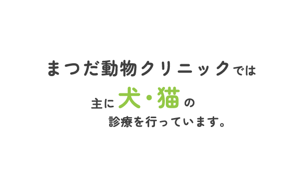 まつだ動物クリニックでは主に犬・猫の診療を行っています。